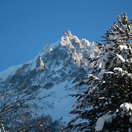 Apartment Chalet Le Paradis *