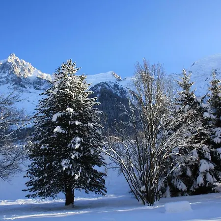 Chalet Le Paradis Apartment *